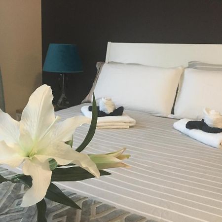 Dream Comfy Apartment La Laguna  Luaran gambar