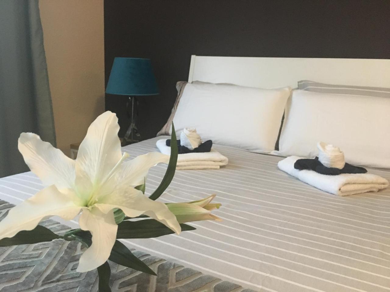 Dream Comfy Apartment La Laguna  Luaran gambar